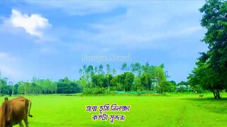 Beautiful Natural Video From Village