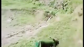 funny 330