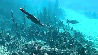 Person is filming a bird swimming underwater!