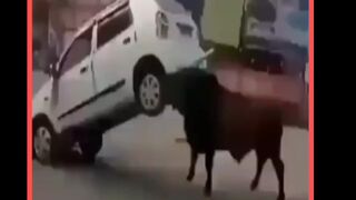 Power of ruler Bull if you like this video please one like & follow,I will be grateful to you #trending #comedyvideos #videos #explorepage #videolucu