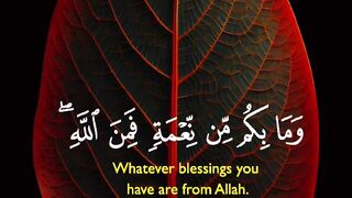 Quran Surah #Quran #quranquotes #shorts 3