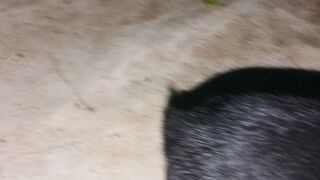 Quite Rabbit Baby ????