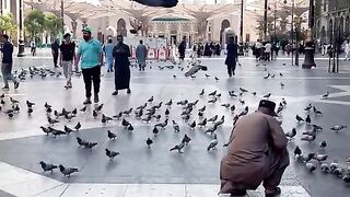 Wo shahr e Haram wo madeny ki Gallia ..