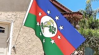 Bendera Chin. Chin Flag. Flag of Chin. Bendera Negara Bagian Chin. Chin State Flag. Flag of Chin State