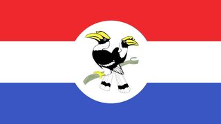 Flag of Chinland. Chinland Flag. Bendera Chinland