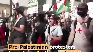 Thousands join Gaza protests at Democratic Convention - Al Jazeera Newsfeed