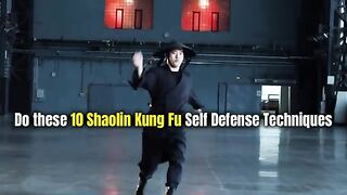 How To Protect Yourself!???? 10 Shaolin Kung Fu Self Defense Techniques