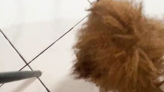 My Poodle