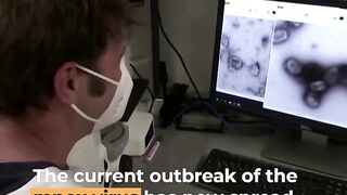 Mpox cases confirmed in Europe, Asia amid global ‘public health emergency’ - Al Jazeera Newsfeed