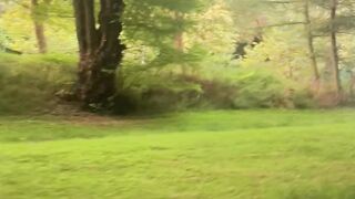 "Earth's Wonders: A Journey Through Nature's Marvels"