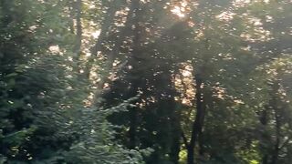 "Nature's Chronicles: Tales from the Wild"
