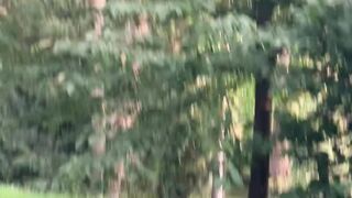 "Serenity in Nature: A Visual Escape into the Wild"