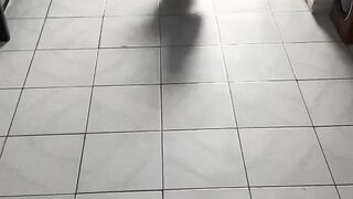 Little Dog 2