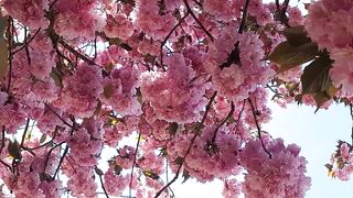 Natural beuty   Beutyfull world
