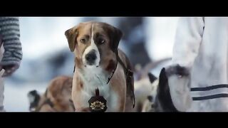 O Chamado da Floresta (2020) - Avalanche