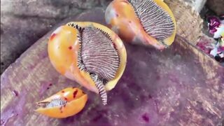 would you eat this
