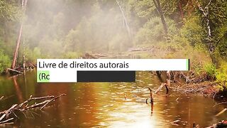 ✅Música de relaxamento com som da chuva para aliviar a tensão e ansiedade #Shorts