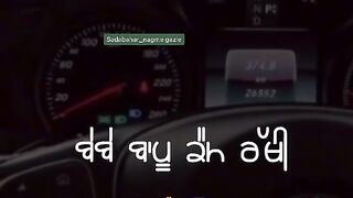 Punjabi status