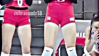 Best Zebra Giunes attitude volleyball player