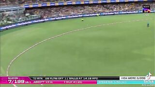 Cricket