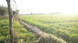 Beautiful village natural scene||