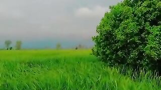 Village