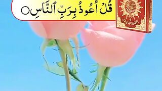 quran pak