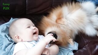 Puppies And Babies Playing Together