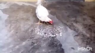 الله اكبر
