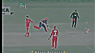Cricket