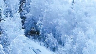 Cool and cool weather