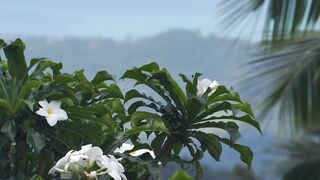 Natural beuty  Beutyfull world