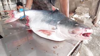 Padma River Pangasius Fish Cutting In Fish Market | Monster Pangas Fish | Fish Cutting Skills