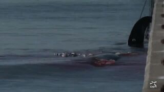 [Whale dissection] Wadaura 2023 Beaked whale meat Visit the whaling base “Kitchen of whale culture”