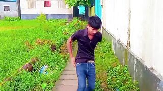 বলদের কান্ড????