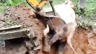 Rescue mission 2