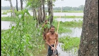 শোলমাছ