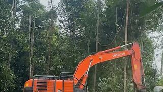 Smngt para pejuang rupiah ✨