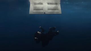 (NEW) Billie Eilish - BIRDS OF A FEATHER (Official Lyric Video)