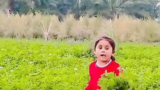 بغداد 2