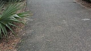 প্রকৃতি 2