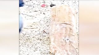 CRAZY Shocking and Funny Moments You’ll Only See in Africa! ???? #Viral #MustWatch Episode 5