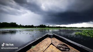 প্রাকৃতিক সৌন্দর্য 3