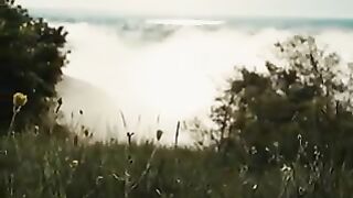 mountain grassland20240806