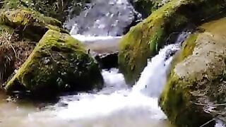 streams20240806