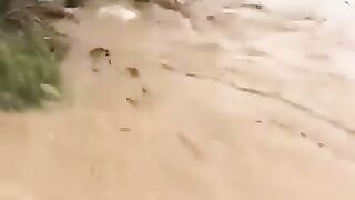 বন্যার পানিতে ভেসে যাচ্ছে