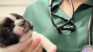 Nobody likes medicine