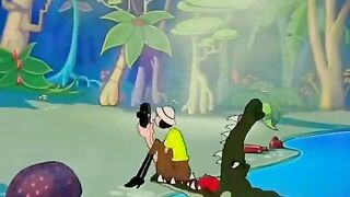 Funny video