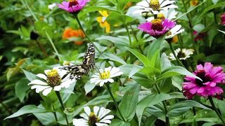 Natural beuty Beutyfull world 2