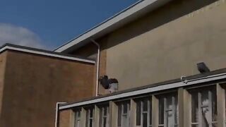 Best of Dom Tomato  Parkour